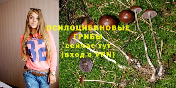 твердый Бронницы